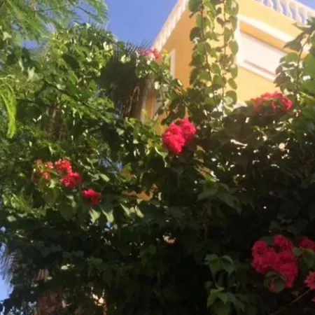 Ferienhaus Fredov Benalmádena